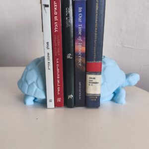 Schildpad Boekensteun